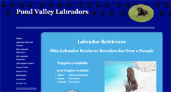Desktop Screenshot of pondvalleylabradors.com