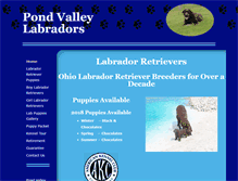 Tablet Screenshot of pondvalleylabradors.com